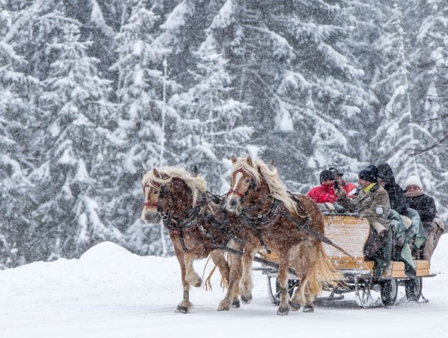 Romantische Pferdeschlittenfahrt in Ramsau am Dachstein © Schladming-Dachstein_Martin Huber